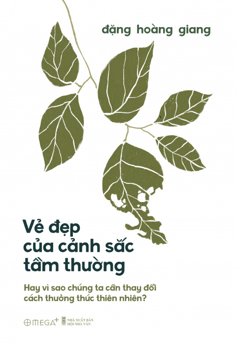 Vẻ đẹp của cảnh sắc tầm thường